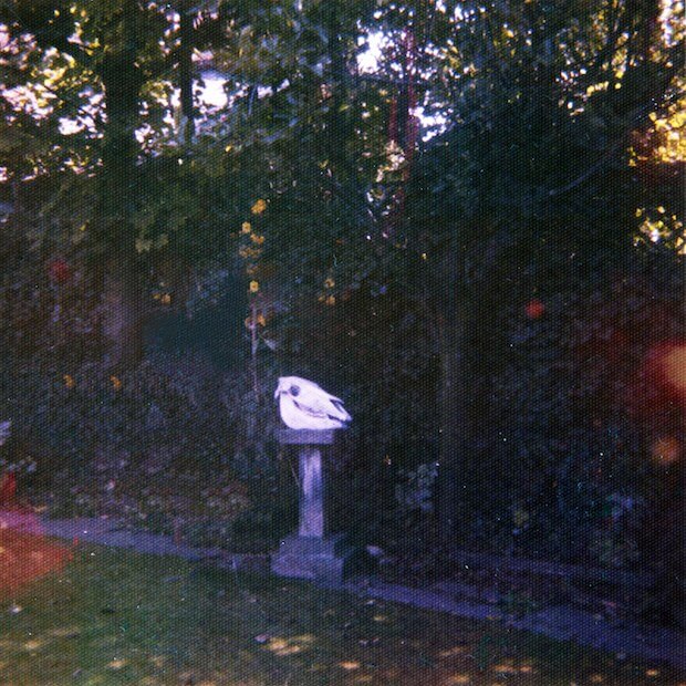 Wolf Alice Rilis Album Baru “Vision Of A Life” September Mendatang. 1 Sampul album Wolf Alice “Vision Of A Life”