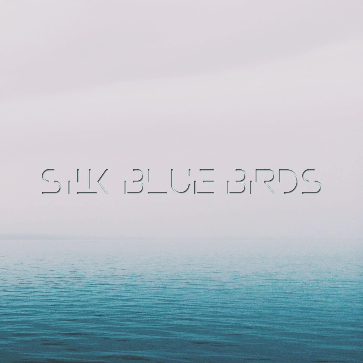 Adrian Hibbs ft. Myra Washington - Silk Blue Birds 1 Adrian Hibbs ft. Myra Washington - Silk Blue Birds