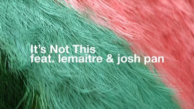 Bearson - It's Not This (feat. Lemaitre and josh pan)