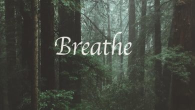 Evan Petruzzi - Breathe
