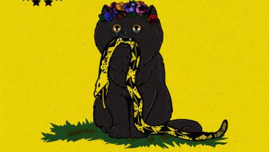 Trauma Cat - The Reporter 3