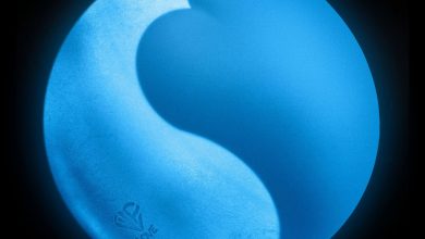 Caye - MILFORD SOUND 3