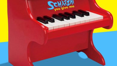 SCHATZKI - You give me 3 SCHATZKI - You give me 3