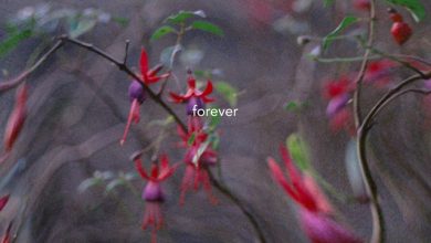 Novanta - Forever 2