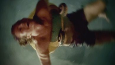 Noak Hellsing - When The Shadows Go Home 20