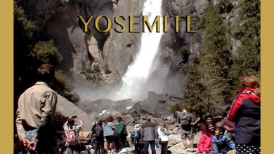 Steven van Betten - Yosemite 3 Steven van Betten - Yosemite 3