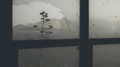 The Satellite Station - Walls 3