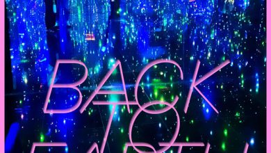 Lowly Light - Back To Earth 3