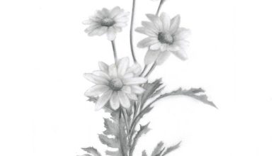 llawgne - Chrysanthemum Rock 2