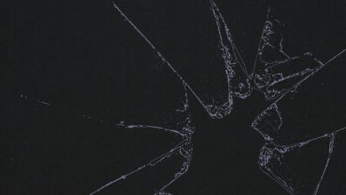Invisible Animals - Face Pics 3
