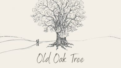 Nicky Phillips - Old Oak Tree 3