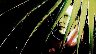 Grandios Sensibel - Bloody White Horses 4