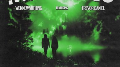 WeKnewNothing x Trevor Daniel - I’m a Mess 4