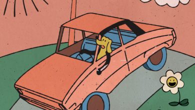 The Vaniers - This Dog 2