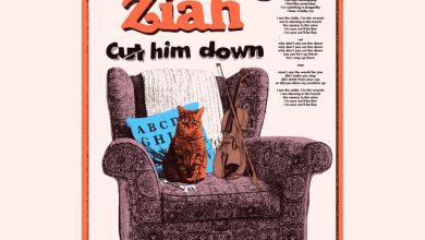 Jake Ziah - Cut Him Down 2