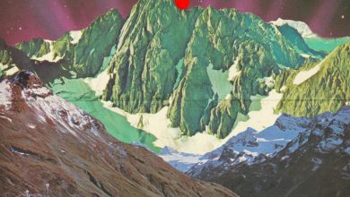 Peter Landi - Somewhere 3
