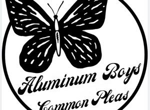 Aluminum Boys - Common Pleas 4