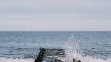 Danny Pynes - Brand New 3