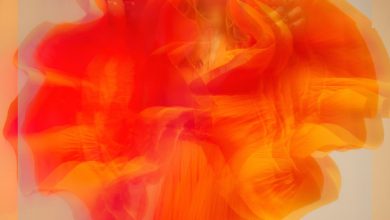 Lauren Minear - Protect You 1