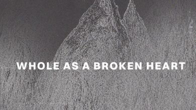 Levi Robin - Whole As A Broken Heart 3
