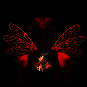 Nome Naku - Back Like Autumn Artwork