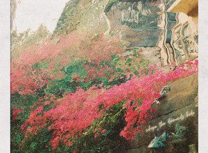 Kylie Rothfield - Where The Diamonds Hide (feat. The Rare Occasions) 2