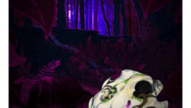 Nico Rivers - Tidal Waves, by Nico Rivers 2