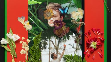 Naxx - Butterflies 29