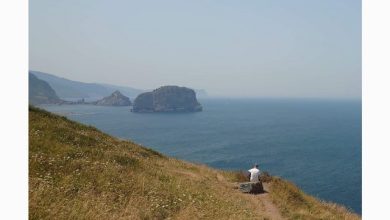 Remedies - On My Mind 27