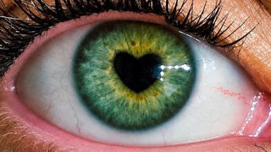 The Spitting Pips - Green Eyes 1 The Spitting Pips - Green Eyes 1