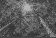 Henry Taylour - A Fleeting Moment 50