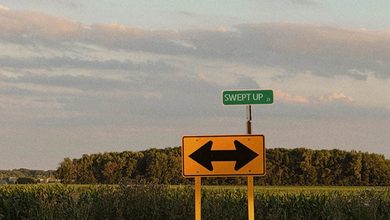 Jeff Toth - Swept Up 3