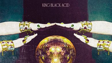 King Black Acid - Never Let 'em Touch Your Weed 4 King Black Acid - Never Let 'em Touch Your Weed 4