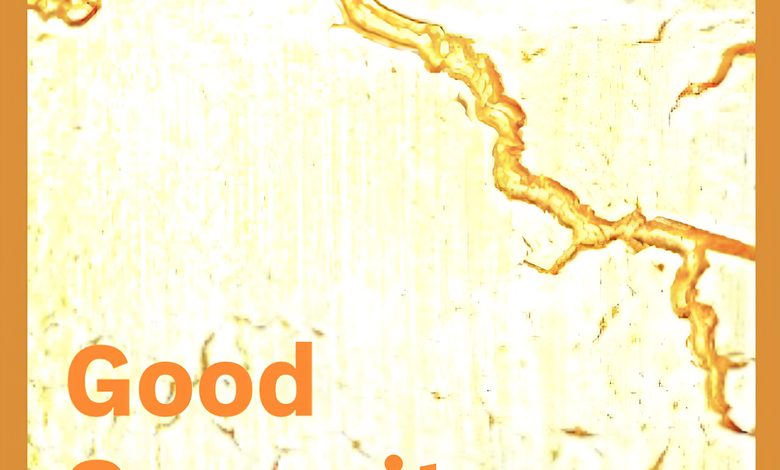 Harry Kappen - Good Samaritans 6