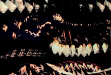 Ulasan lagu Glass Rabbit - Damn Shame - ParaPOP