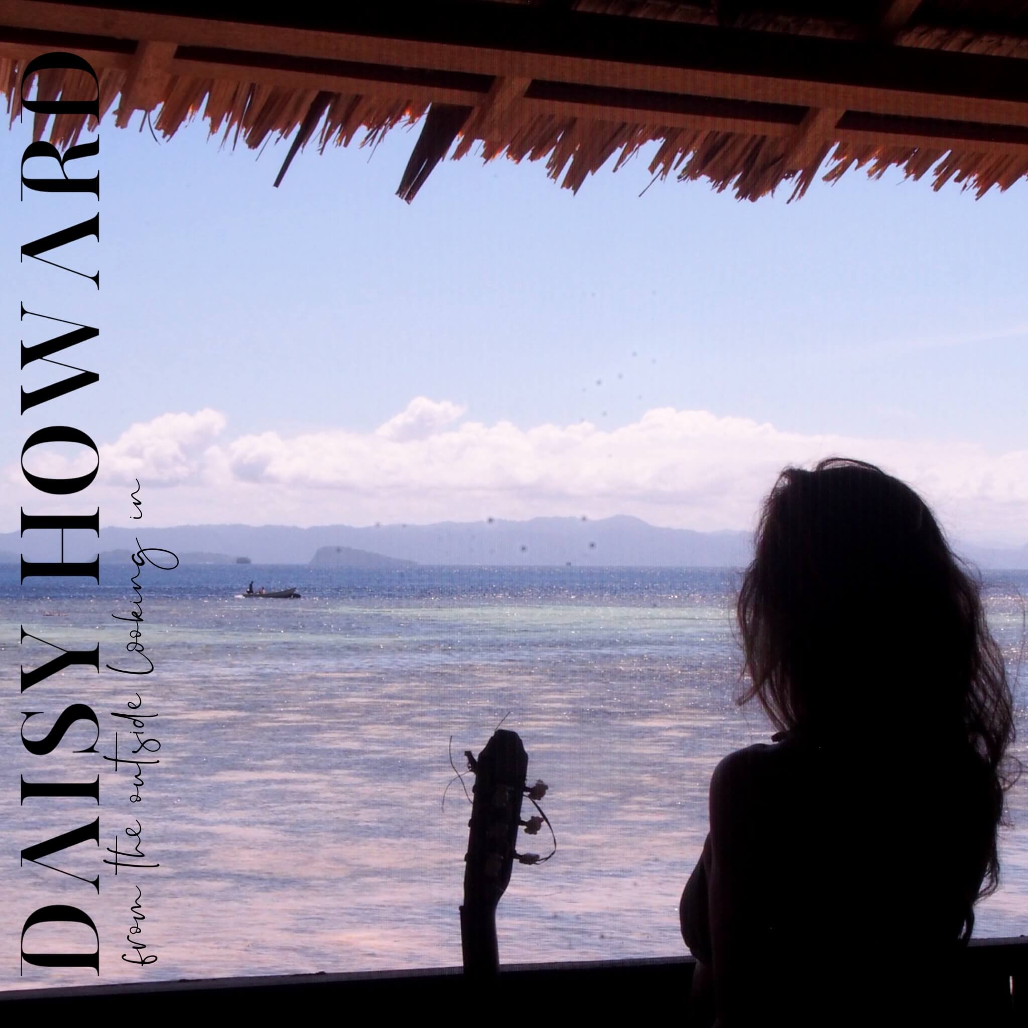 Daisy Howard - From the Outside Looking In