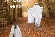 Ulasan lagu Rich Anthony - If I Were a Ghost - ParaPOP