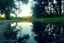 Ulasan lagu Water Fire Music - Song of Reflection [23 sep] - ParaPOP