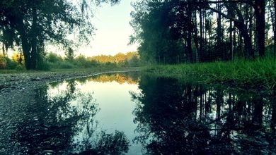 Ulasan lagu Water Fire Music - Song of Reflection [23 sep] - ParaPOP