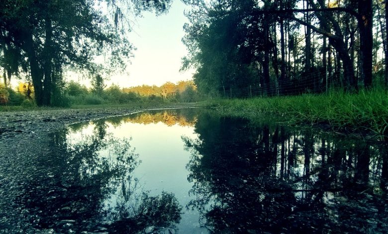 Ulasan lagu Water Fire Music - Song of Reflection [23 sep] - ParaPOP