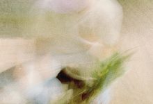 Ulasan lagu Eventually Flowers - As You Grow - ParaPOP
