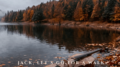 Ulasan lagu IRONA - Jack, Let's Go for a Walk (Cello Whisper) - ParaPOP