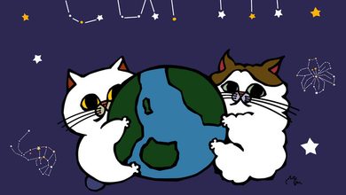 Ulasan lagu Lily Shrimp / リリィ・シュリンプ - earth - ParaPOP