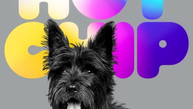 Sampul album Hot Chip A Long Way From Kansas, anjing terrier hitam di depan tulisan Hot Chip warna-warni