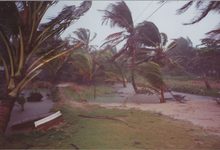 Ulasan lagu Blue Umbrella - Tropical Storm - ParaPOP
