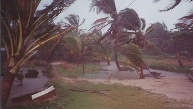 Ulasan lagu Blue Umbrella - Tropical Storm - ParaPOP